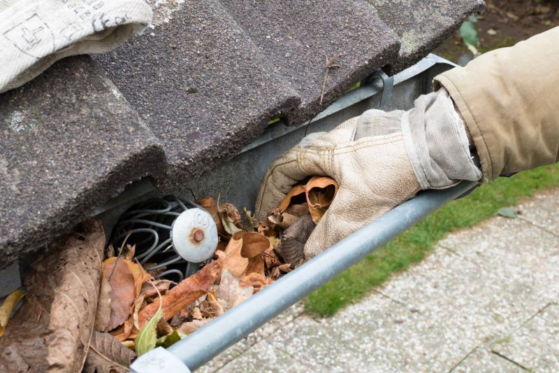 Clogged Gutter Clearing in Fredericksburg, VA