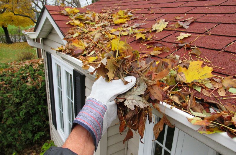 Gutter Blockage Removal in Arvada, CO