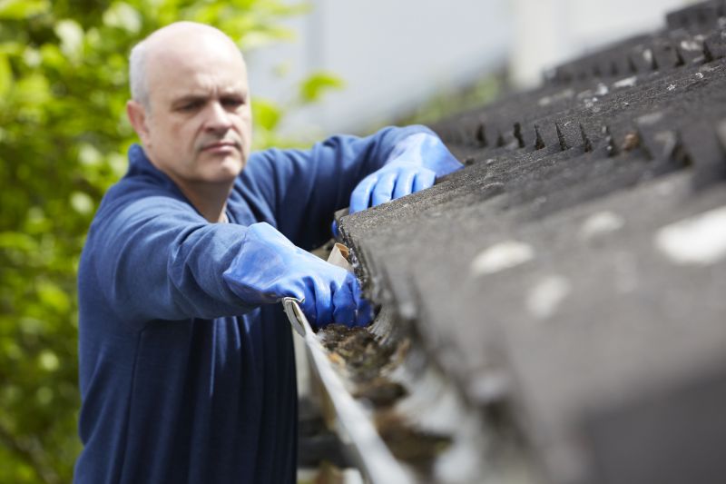 Gutter Cleaning in Monmouth County, NJ